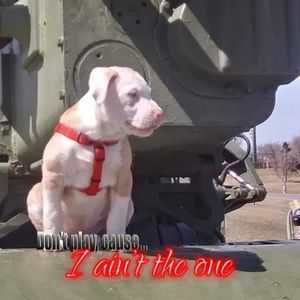 Meet your Posher, Seth